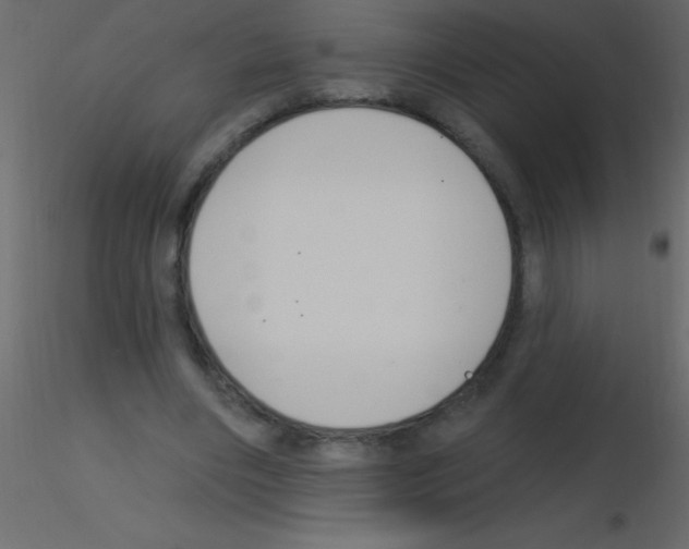 X0000115810490200912241917