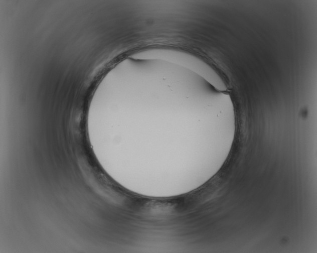 X0000115810491200912241917