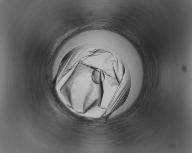 X0000115810492200912241917