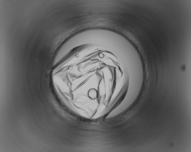 X0000115810493200912241917