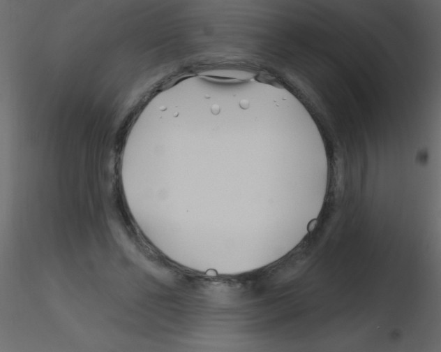 X0000115810494200912241917