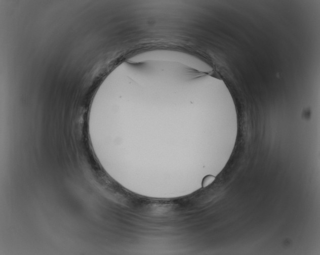 X0000115810495200912241917