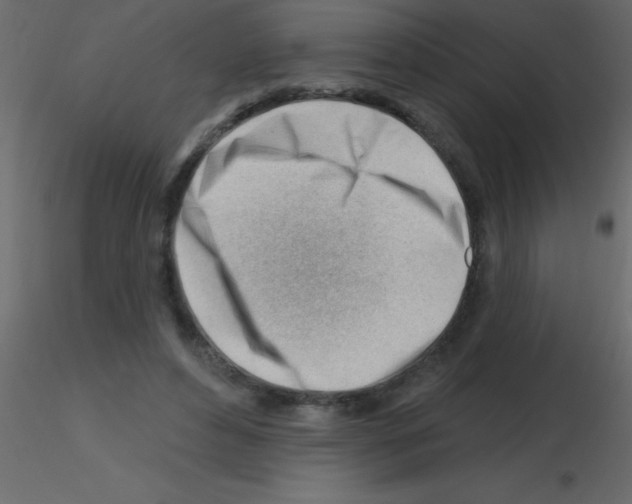 X0000115810496200912241917