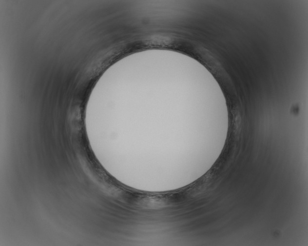 X0000115810498200912241917