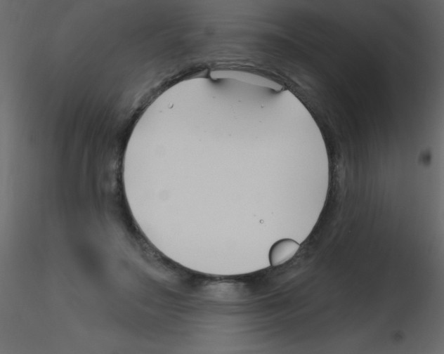 X0000115810499200912241917