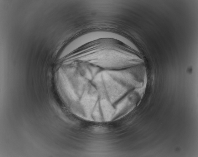 X0000115810500200912241917