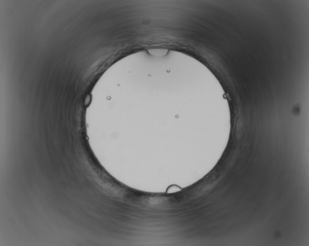 X0000115810501200912241917