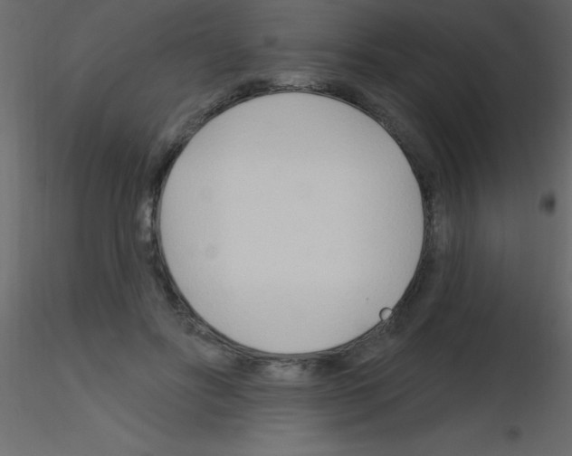X0000115810502200912241917
