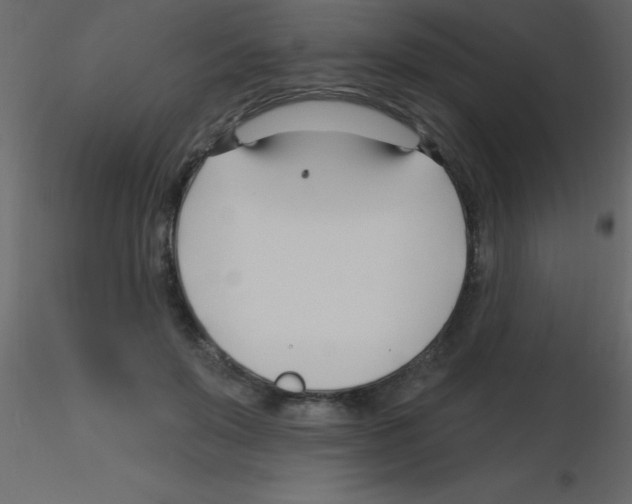 X0000115810503200912241917
