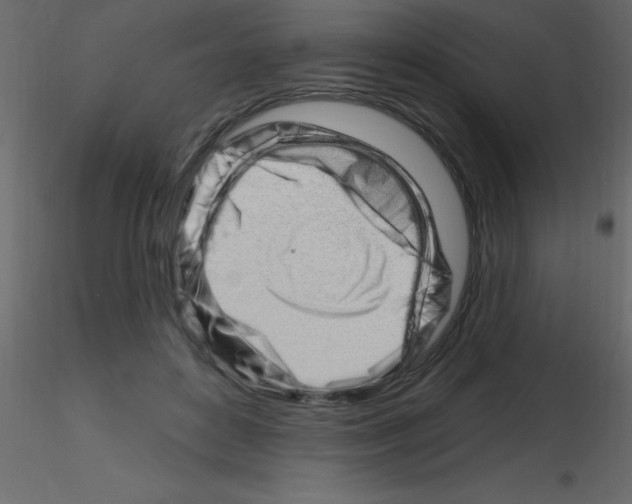 X0000115810504200912241917