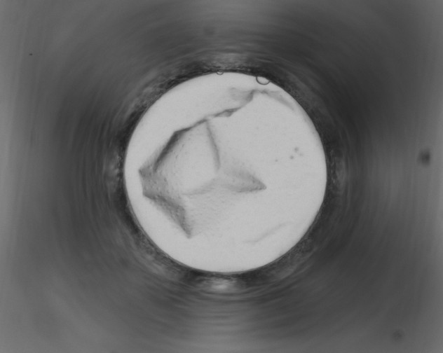 X0000115810507200912241917