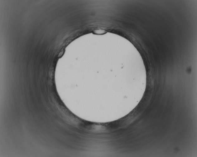 X0000115810509200912241917
