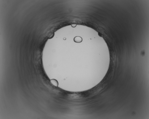 X0000115810511200912241917