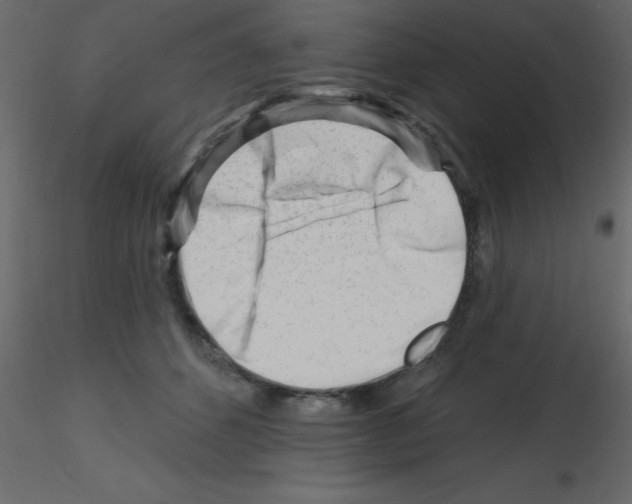 X0000115810512200912241917