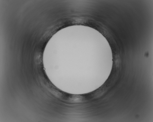 X0000115810514200912241917