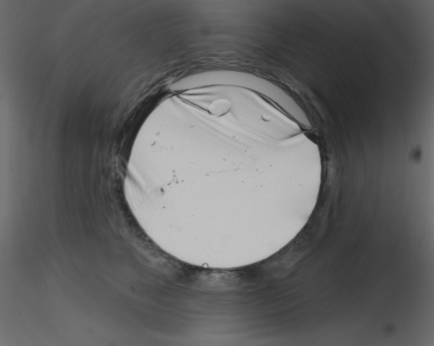 X0000115810517200912241917