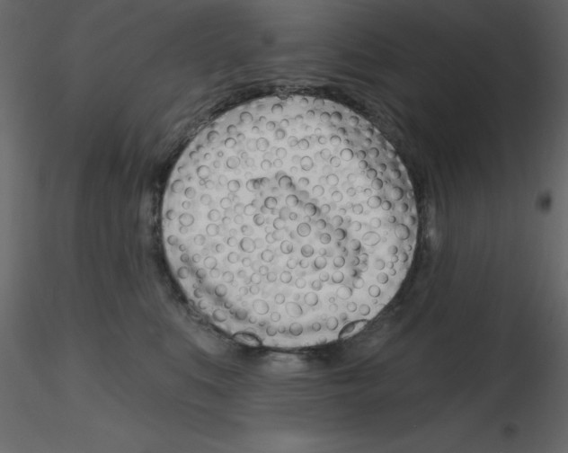 X0000115810519200912241917
