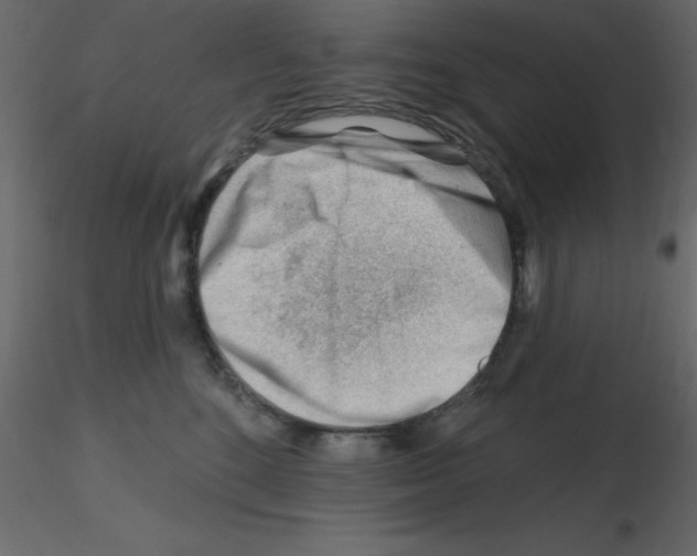X0000115810520200912241917