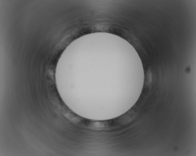 X0000115810522200912241917