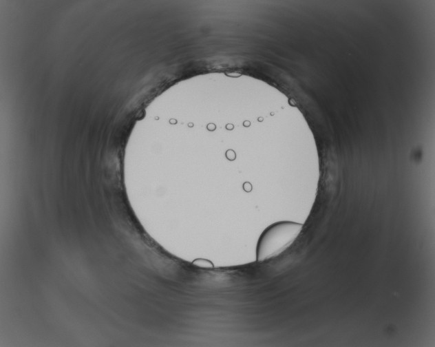 X0000115810523200912241917