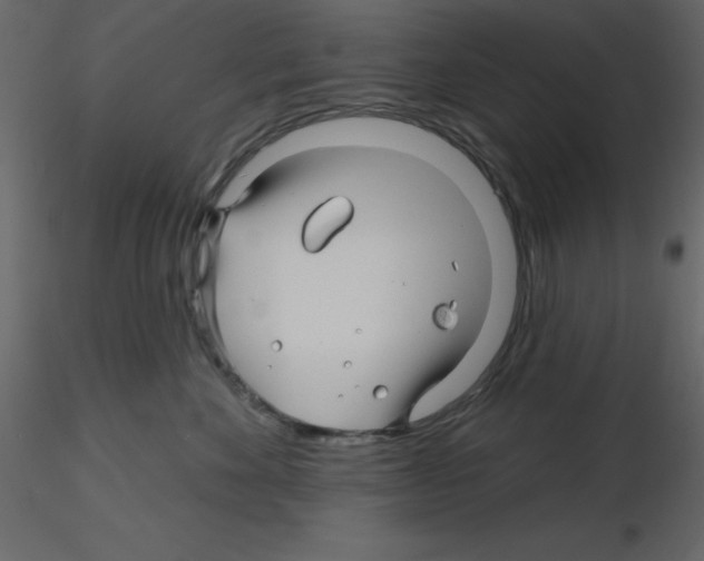 X0000115810524200912241917