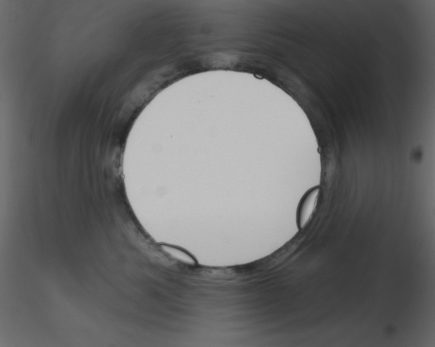 X0000115810525200912241917