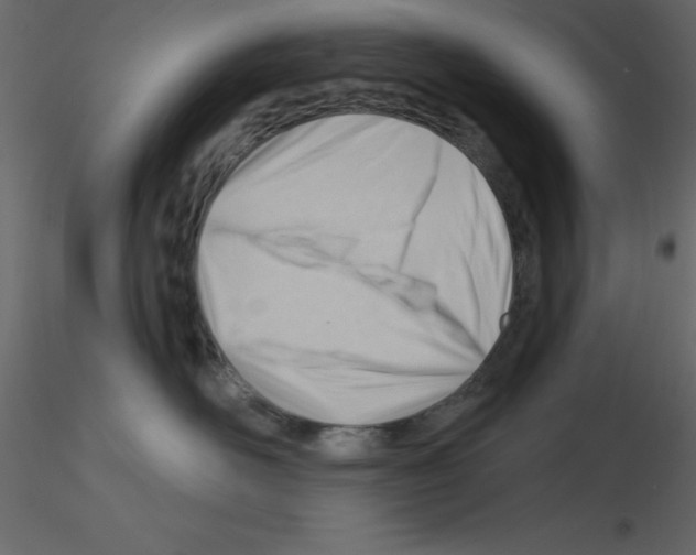 X0000115810526200912241917