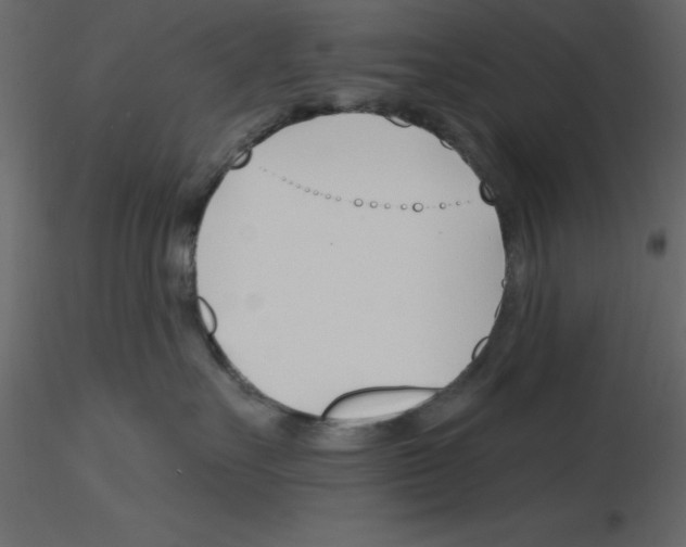 X0000115810527200912241917