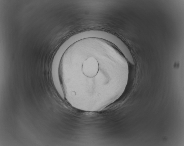 X0000115810528200912241917