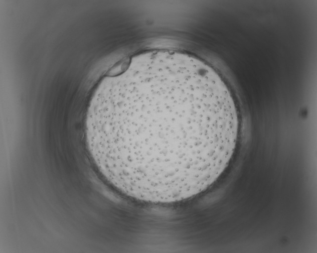X0000115810529200912241916