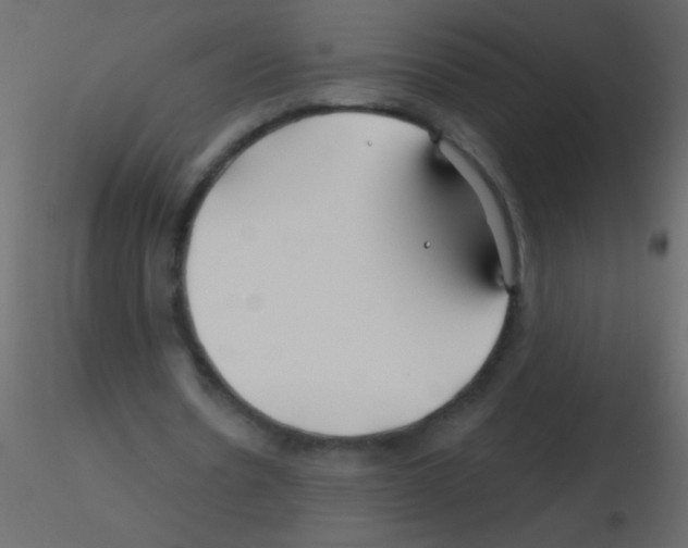 X0000115810530200912241916
