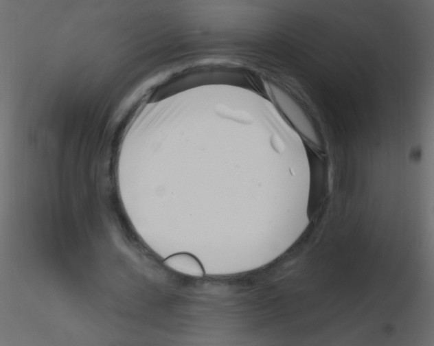 X0000115810531200912241916