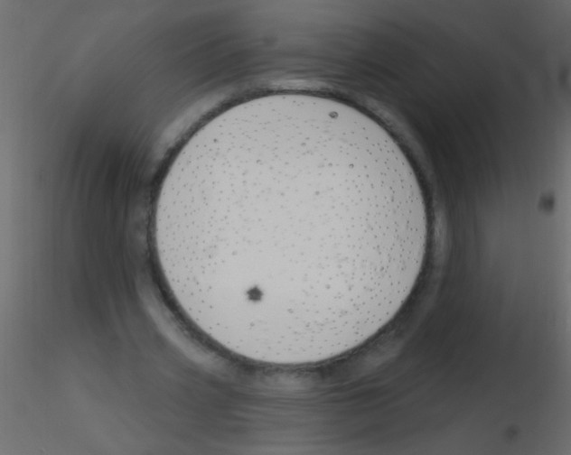 X0000115810533200912241916