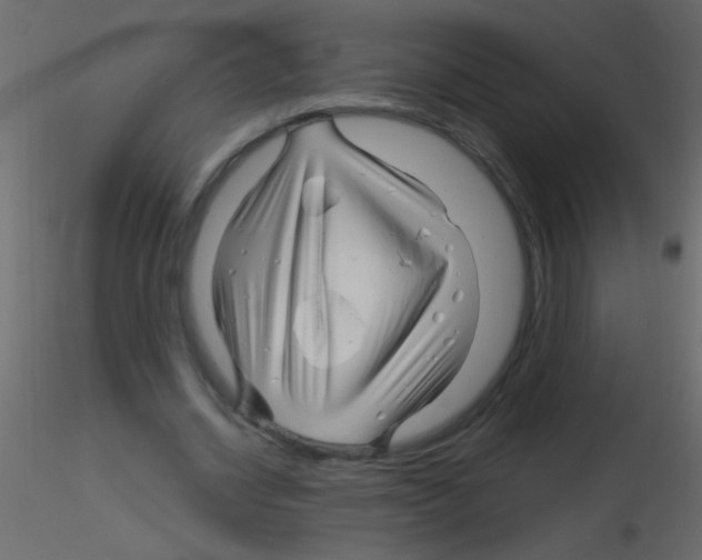 X0000115810534200912241916