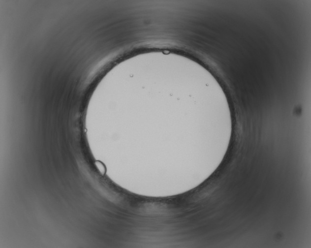 X0000115810535200912241916