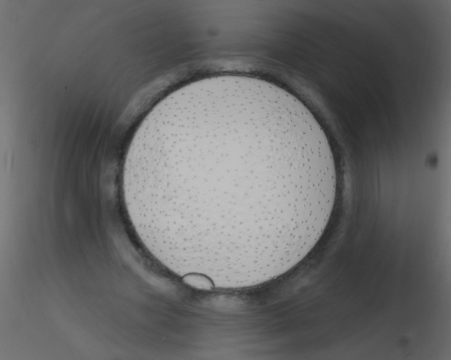 X0000115810537200912241916