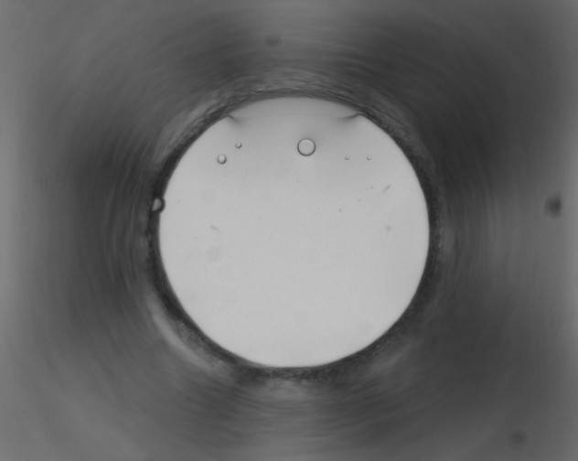 X0000115810538200912241916
