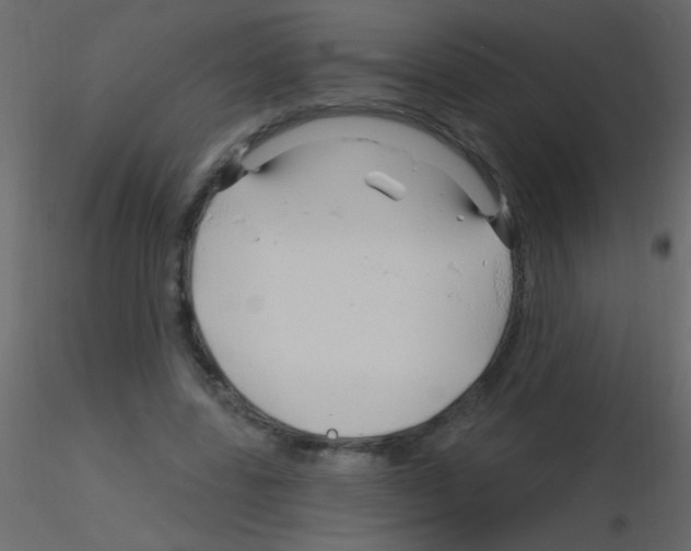 X0000115810539200912241916