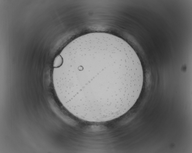 X0000115810541200912241916