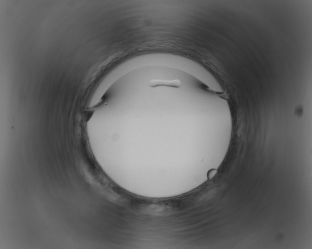 X0000115810542200912241916