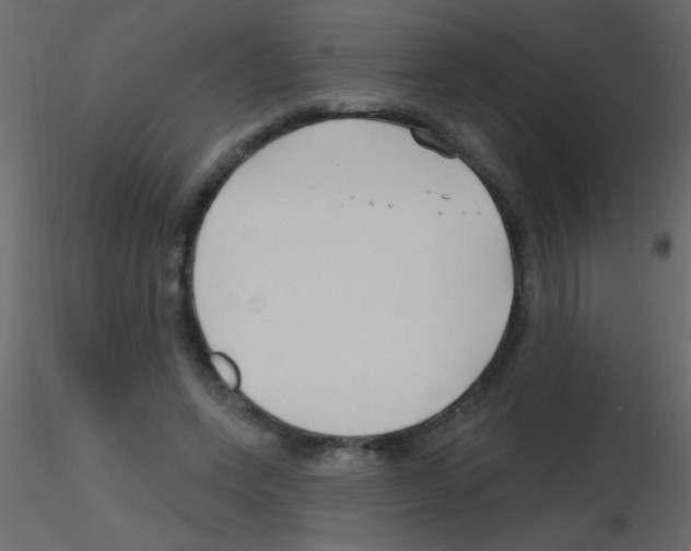 X0000115810543200912241916