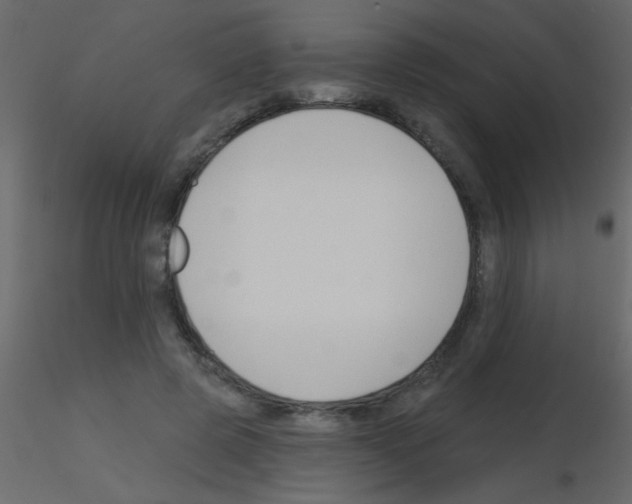 X0000115810545200912241916