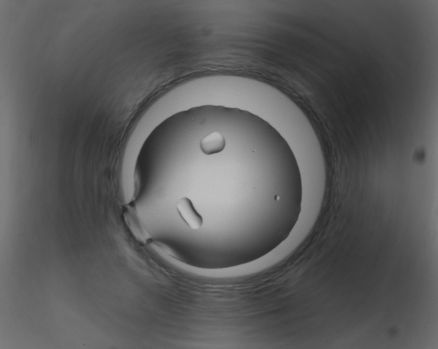 X0000115810546200912241916