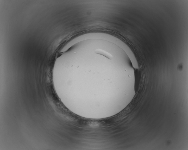 X0000115810547200912241916