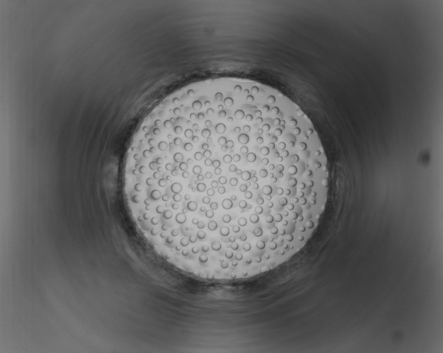 X0000115810550200912241916