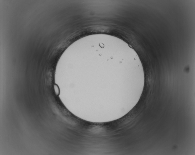 X0000115810551200912241916