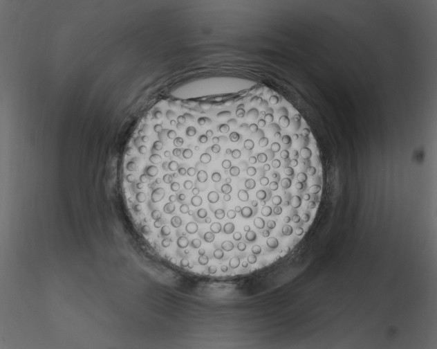 X0000115810554200912241916
