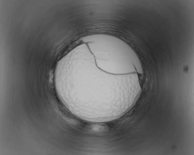 X0000115810555200912241916