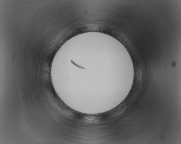 X0000115810557200912241916