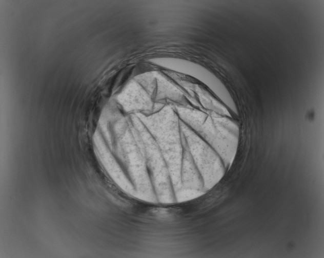 X0000115810558200912241916